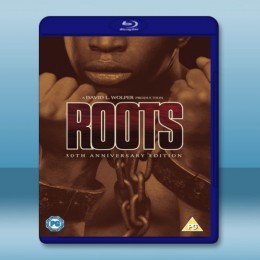  根 Roots [1977] (3碟) 藍光25G 